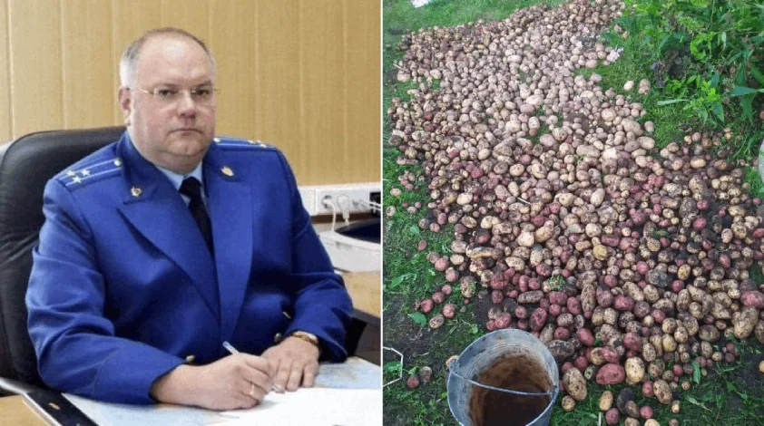 Взял взятку картошкой и попался