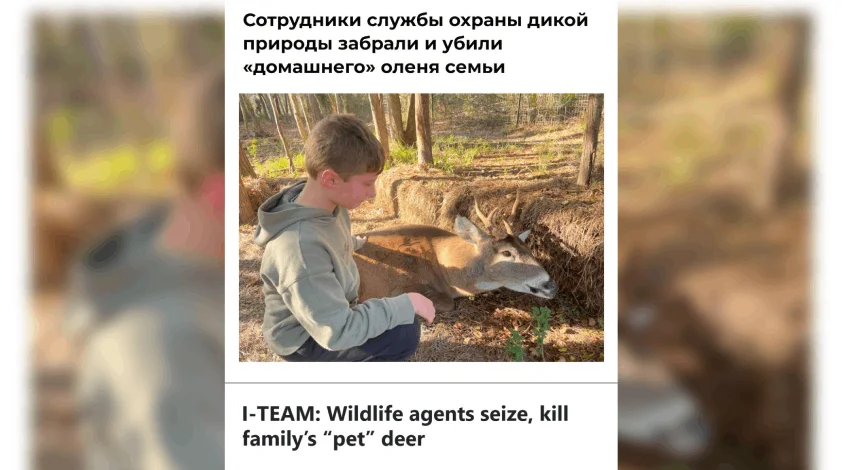 Власти Луизианы убили ручного оленя, который прожил в семье семь лет