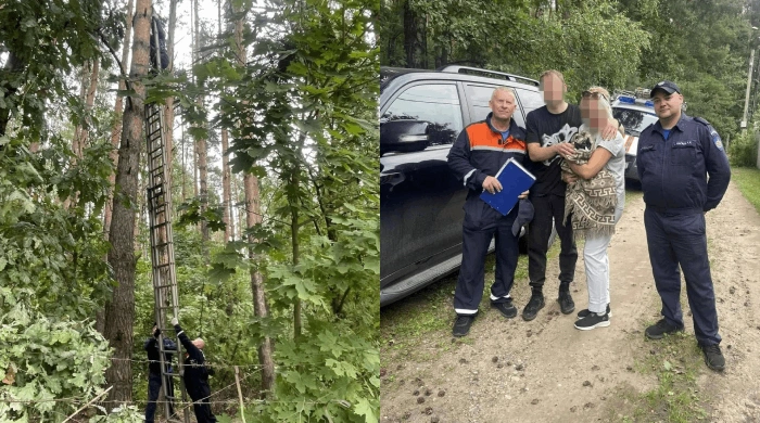 Спасатель кота сам застрял на сосне